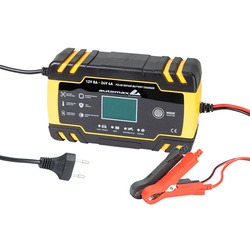 Prostownik z mikroprocesorem Automax Smart 12V 8A 24V 4A