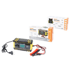 Prostownik z mikroprocesorem Automax Smart 12V 8A 24V 4A