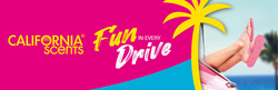 4x California Car Scents Zapach samochodowy zawieszka Palm Ocean Wave